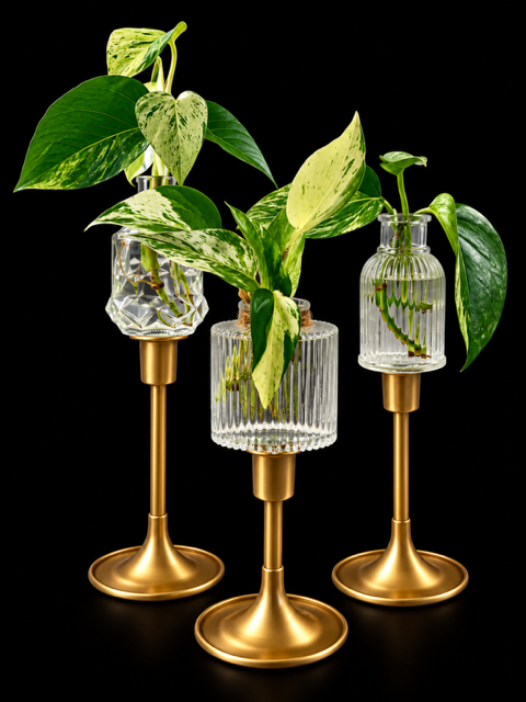 Gilded Propagation Trio — botanical art by April Stiles