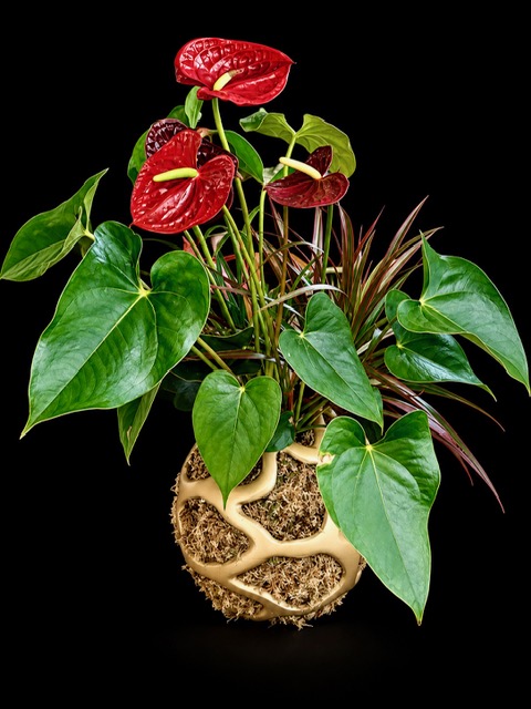 Crimson Wilds — botanical art by April Stiles