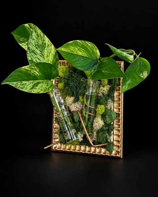 The Gilded Vine — botanical art by April Stiles